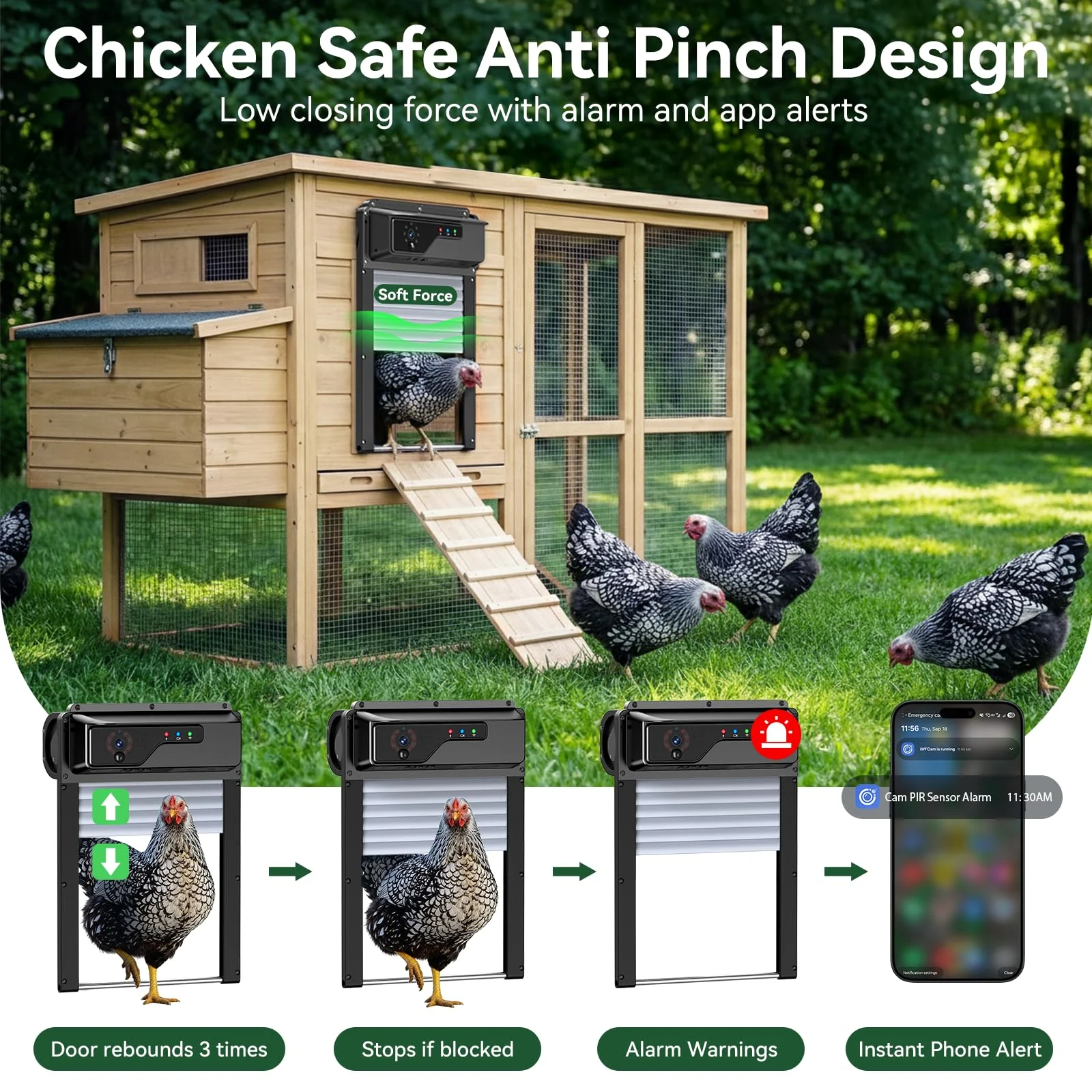 Chicken safe anti-pinch coop door design