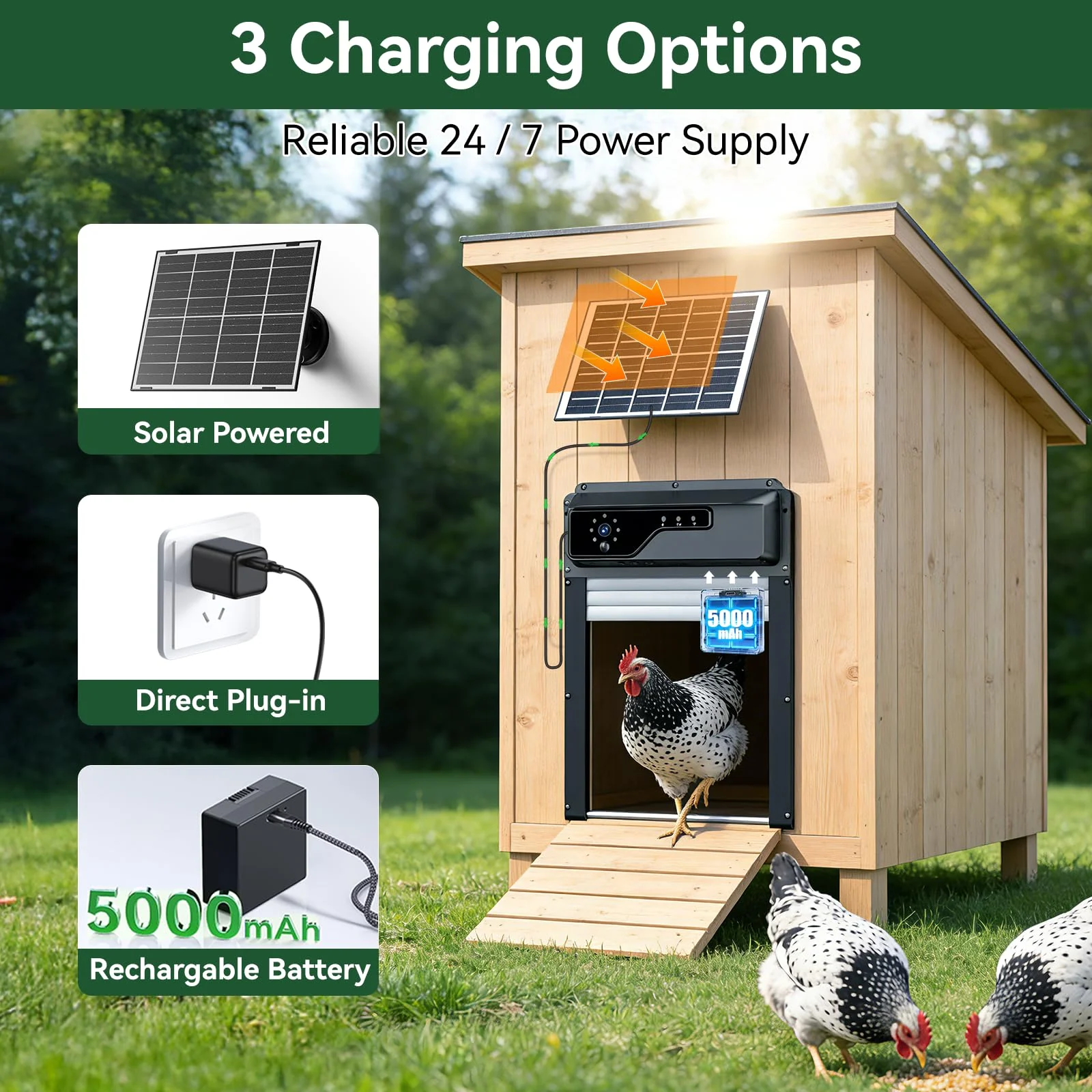 Smart coop door solar, plug-in and battery power options