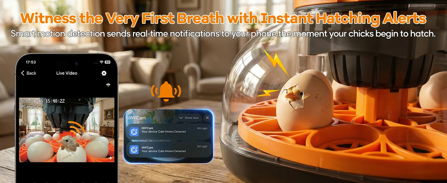 Instant hatching alert sent to phone when chick begins to hatch