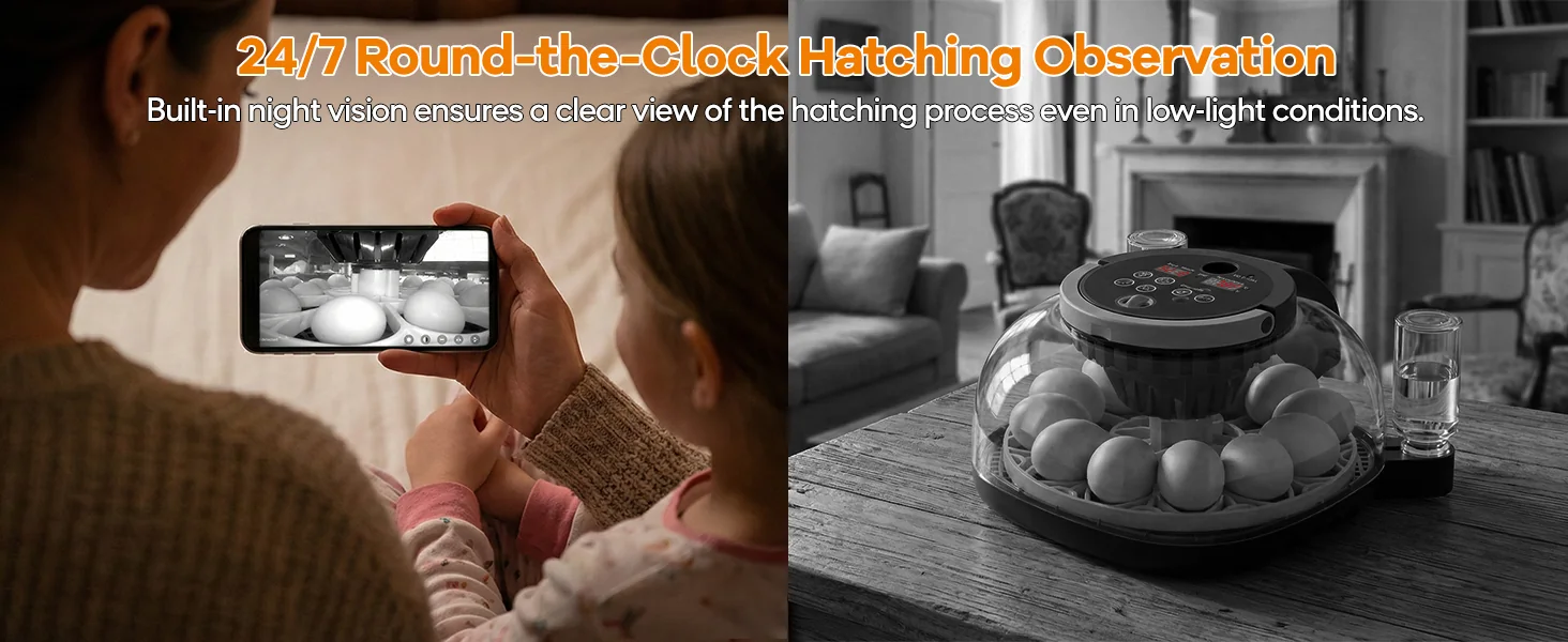 Night vision hatching observation through built-in camera