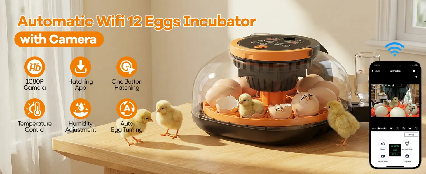 Smart visual egg incubator with camera
